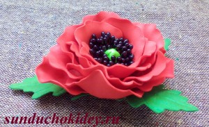 IMG_20170428_165225_1